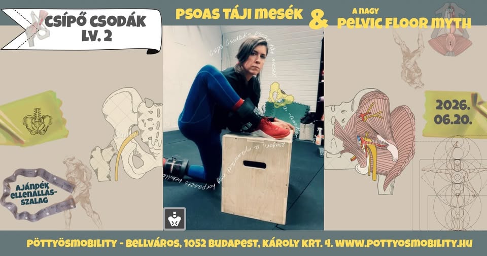 csipo csodak lvl2 illusztracio